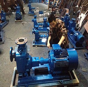 ZW�������۱�